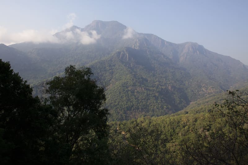 Ooty Sightseeing Tour – 3 Days 2 Nights